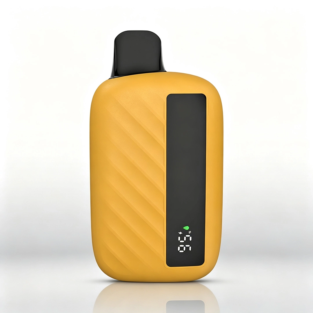 Big Puff Rechargeable Disposable Vape - N03
